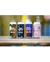 Discovery 6-pack // Queer Brewing
