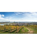 Berlin to the Balkans: Discover Central European Wine at Bottle Apostle Victoria Park
