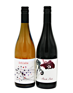 Natural Wines from Austria